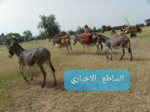 زاوية في الخفاء